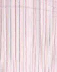 Stitchwork Stripe Persimmon by   