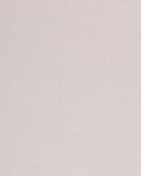 Monte Carlo Stainless by   