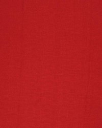 Monte Carlo Begonia by   