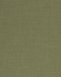 Saint Tropez Bay Leaf by   