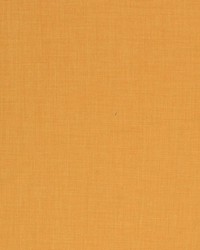 Saint Tropez Goldenrod by   