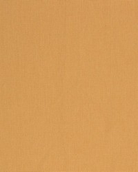 Tipton Burnished Gold by   