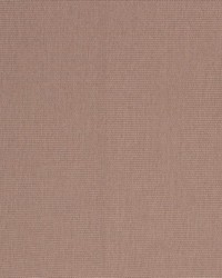 Tipton Spanish Moss by   