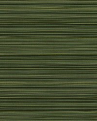 Eaton Stripe Jade by   