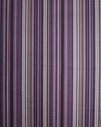 Kelmscott Stripe African Violet by   