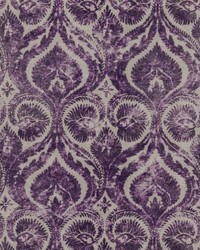 Brentwood Court Plum by   