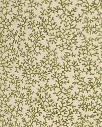 Coral Splendor Green by   