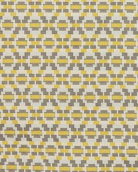 Step Up Trellis Gold Gray by   