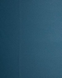 Pinpoint Blueberry by   