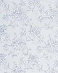 Miramar Gardens Winter by   