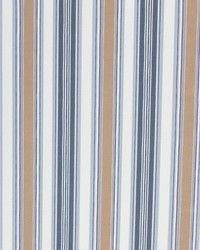 Le Cirque Stripe Silverstone by  Waverly 
