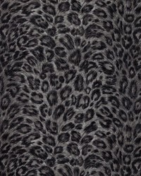 Kruger Gunmetal by  Waverly 