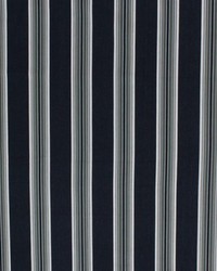 High Chaparral Stripe Onyx by  Waverly 