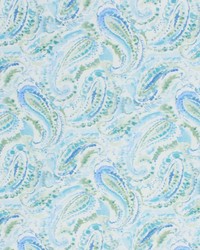 Pippa Paisley Iceberg by  RM Coco 