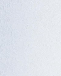 Wentworth Damask White by   