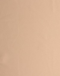 Beach Blanket Io Sand by  RM Coco 