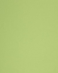 Beach Blanket Io Tropique by  RM Coco 