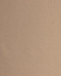 Beach Blanket Io Driftwood by  RM Coco 