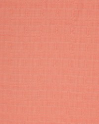 Seaspray Texture Io Salsa by  RM Coco 