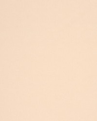 Ebb Tide Io Oyster by  RM Coco 