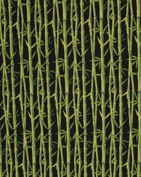 Bamboo Garden Io Black by   