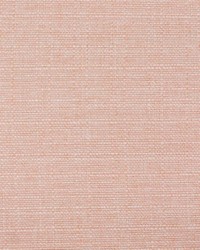 Stonebriar Palace Pink by  RM Coco 