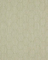 Modern Hatch Fern by   