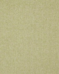 Clubhouse Pistachio by   