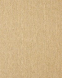 Clubhouse Buttercup by   