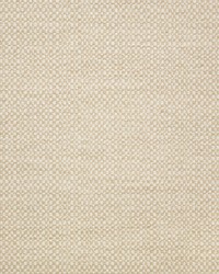 Action - Sunbrella Linen 44285-0000 by  RM Coco 