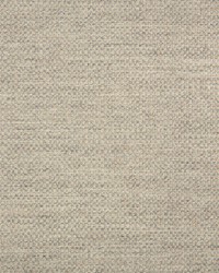 Action - Sunbrella Ash 44285-0001 by  RM Coco 