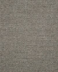 Action - Sunbrella Stone 44285-0002 by  RM Coco 