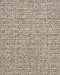 Blend - Sunbrella Nomad 16001-0011 by  RM Coco 