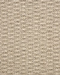 Blend - Sunbrella Sand 16001-0012 by  RM Coco 