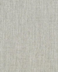 RM Coco Canvas Sunbrella Granite 54020000 Fabric