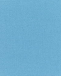 RM Coco Canvas Sunbrella Sky Blue 54240000 Fabric