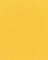 RM Coco Canvas Sunbrella Sunflower 54570000 Fabric
