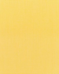 Canvas - Sunbrella Buttercup 5438-0000 by  RM Coco 