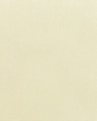 Canvas - Sunbrella Canvas 5453-0000 by  RM Coco 