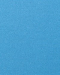 Canvas - Sunbrella Capri 5426-0000 by  RM Coco 