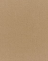 Canvas - Sunbrella Cocoa 5425-0000 by  RM Coco 