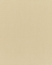 Canvas - Sunbrella Antique Beige 5422-0000 by  RM Coco 