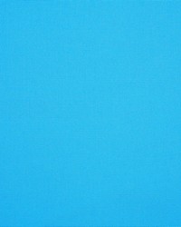 Canvas - Sunbrella Cyan 56105-0000 by  RM Coco 