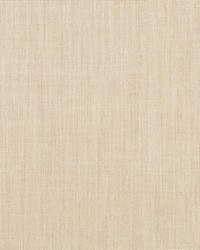 Canvas - Sunbrella Flax 5492-0000 by  RM Coco 