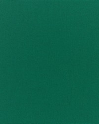 Canvas - Sunbrella Forest Green 5446-0000 by  RM Coco 