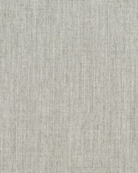Canvas - Sunbrella Granite 5402-0000 by  RM Coco 