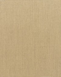Canvas - Sunbrella Heather Beige 5476-0000 by  RM Coco 