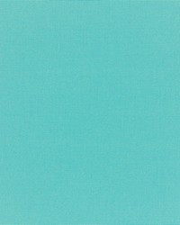 Canvas - Sunbrella Aruba 5416-0000 by  RM Coco 