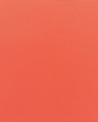 Canvas - Sunbrella Melon 5415-0000 by  RM Coco 