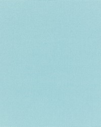 Canvas - Sunbrella Mineral Blue 5420-0000 by  RM Coco 